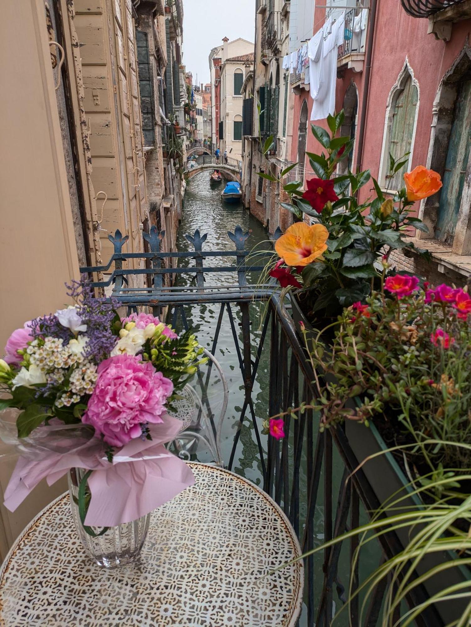 Guest house My Rialto Palace *